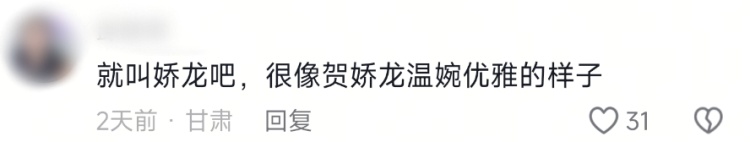 新品月季提名“娇龙”，回应来了！