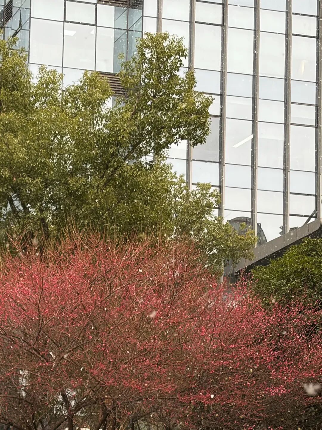 -2℃！即将进入最低点，杭州人明早出门注意！升温时间确定了