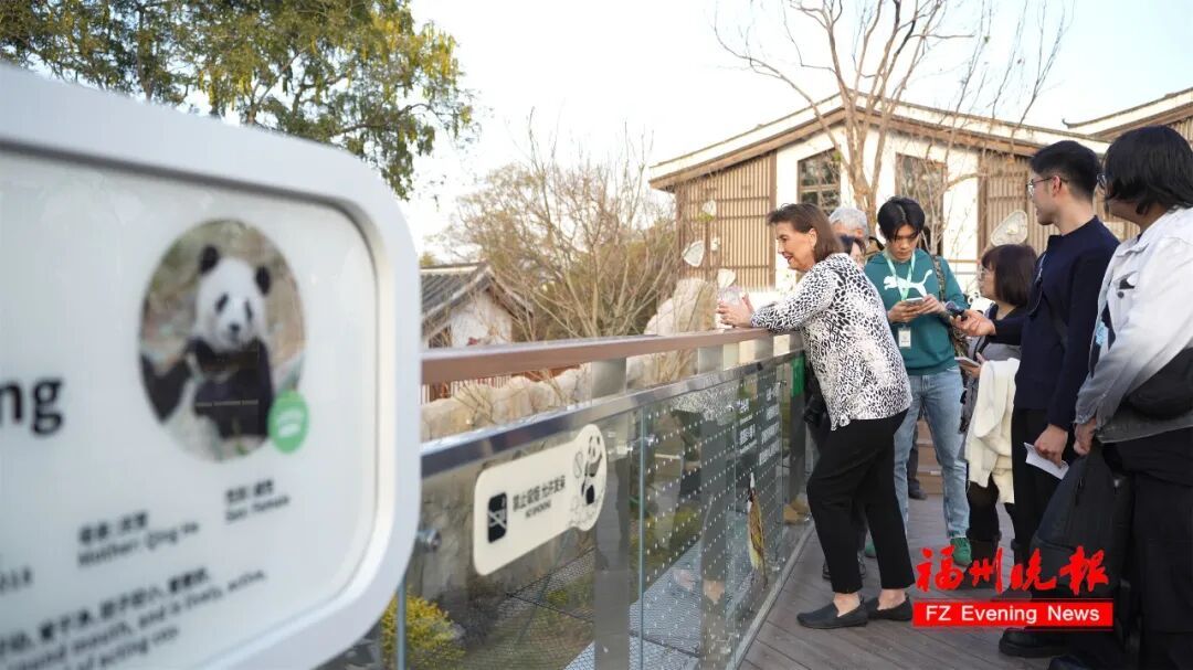 漂洋过海来看你!一位74岁美国老太的“熊猫情缘” 漂洋过海来看你!一位74岁美国老太的“熊猫情缘”