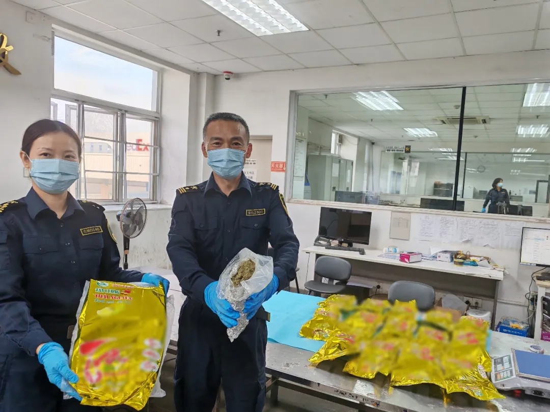 “散装干茶叶”？不，都是毒品大麻！