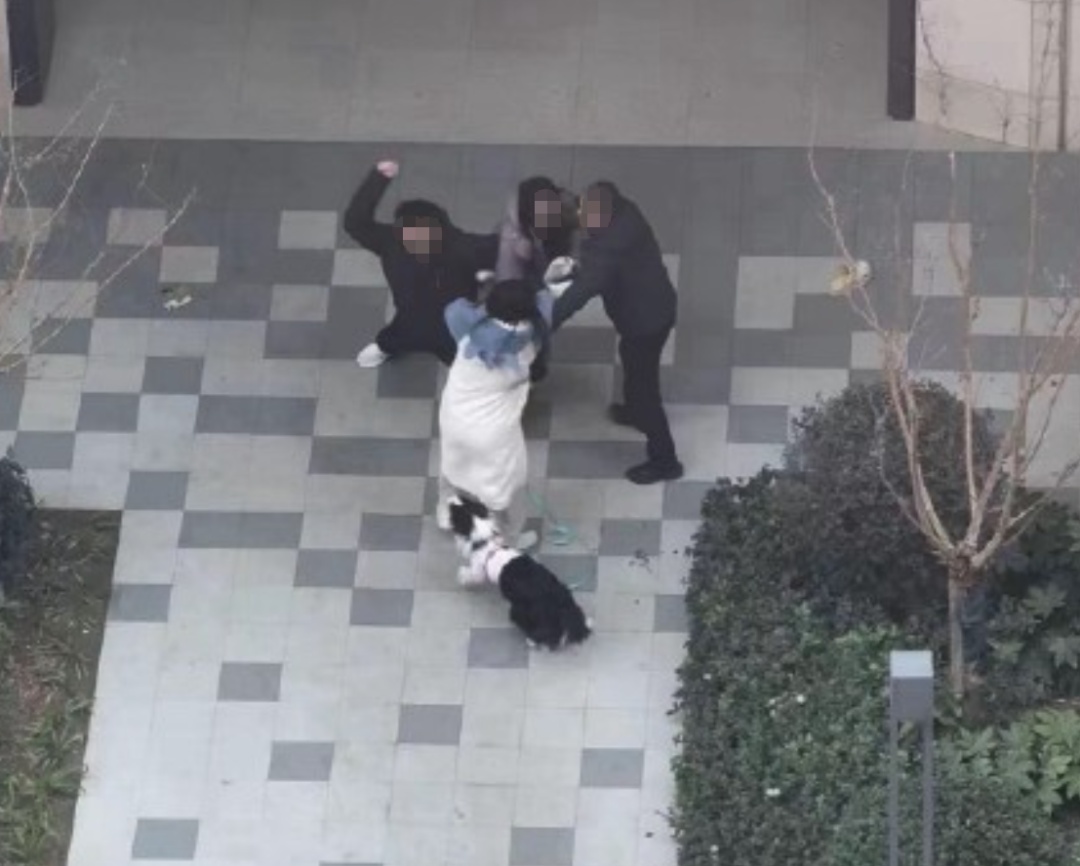 网传女子牵绳遛狗被围殴，邻居声援也被打？上海警方：已立案