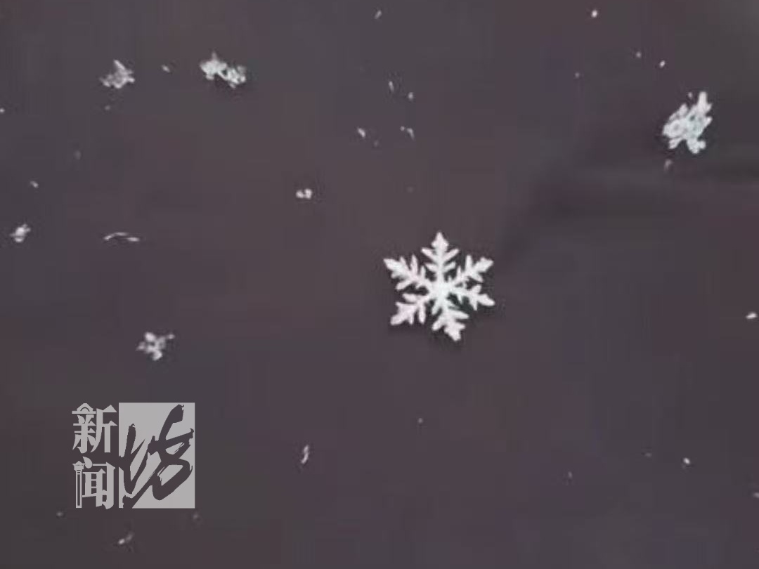 太!冷!了!上海3岁女孩光脚在雪中大哭,家长去哪了?路人解开衣服为她取暖... 太!冷!了!上海3岁女孩光脚在雪中大哭,家长去哪了?路人解开衣服为她取暖...