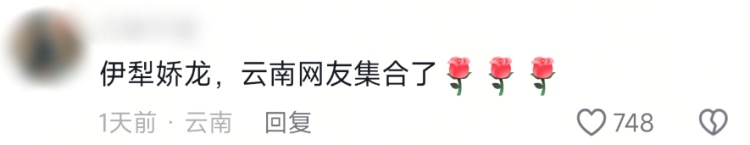 新品月季提名“娇龙”，回应来了！