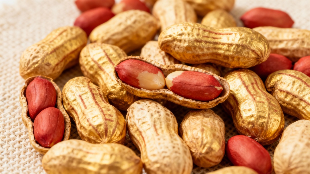 花生红皮能不能吃?答案来了!这五类人要果断忌口 花生红皮能不能吃?答案来了!这五类人要果断忌口