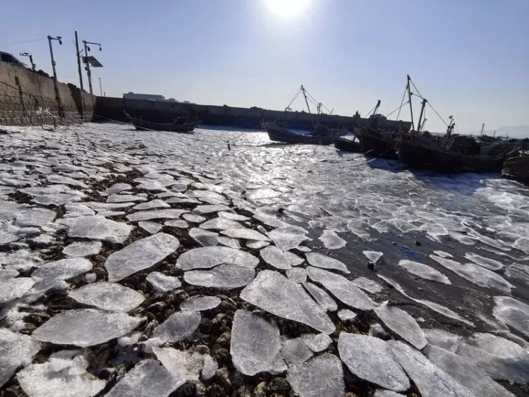 大海结冰、冻到开裂！青岛海边冻出壮观一幕，绵延数公里！未来几天……