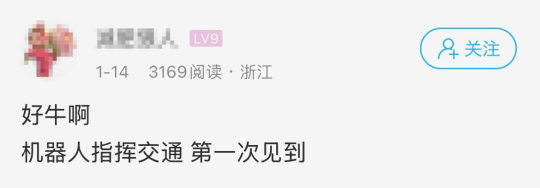 杭州街头这一幕，网友直呼好牛啊！最近你看到它了吗？