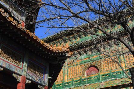 琉璃阁院落腾退移交北海公园 完整版“西天梵境”未来将对公众开放 琉璃阁院落腾退移交北海公园 完整版“西天梵境”未来将对公众开放