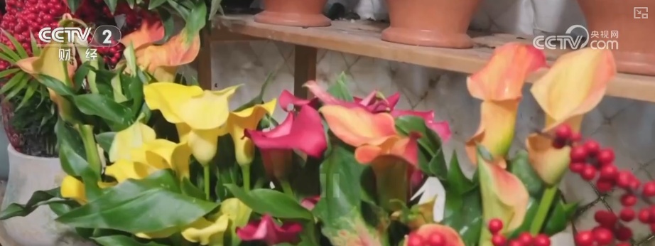 颜值寓意在线！年宵花市开启“抢购模式” 小众品种成“当家花旦”购销两旺