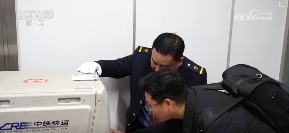 透过“雪”“宠”“静”看铁路服务延伸升级 激活经济发展与民生服务双“引擎”