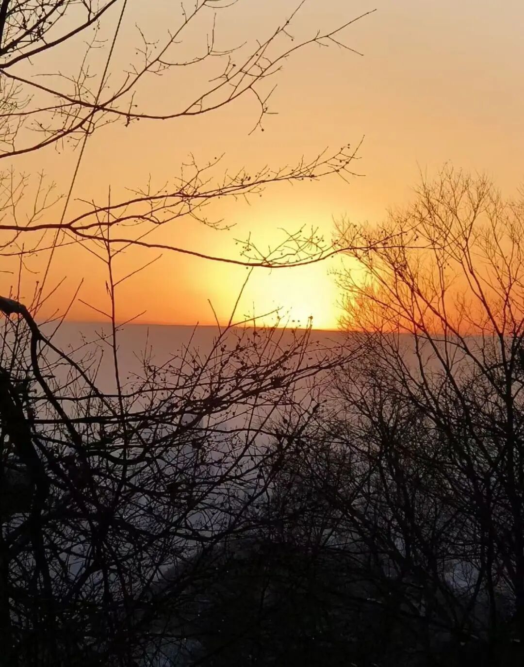 罕见！南京天空刷屏！很多人拍到了