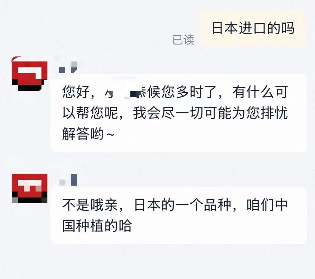 打着“日本进口”旗号的“黑草莓”走红电商，一斤要价300元，实为国产品种