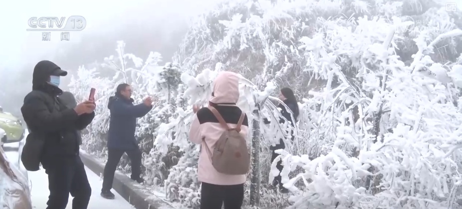 多部门打出精准服务“组合拳”应对低温 全力保障群众生产生活平稳有序