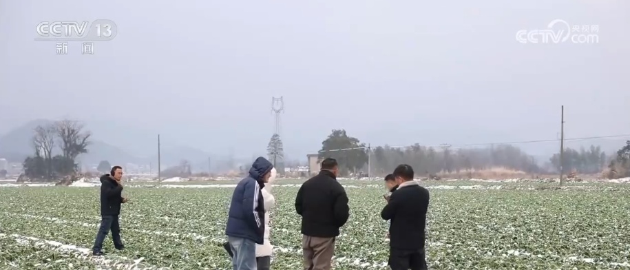 多部门打出精准服务“组合拳”应对低温 全力保障群众生产生活平稳有序