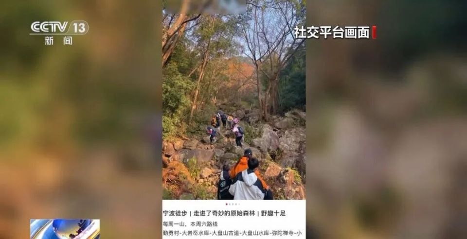 “画马线”兴起、岳麓山被开发几十种野爬路线!网红路线风险重重,专家提醒 “画马线”兴起、岳麓山被开发几十种野爬路线!网红路线风险重重,专家提醒