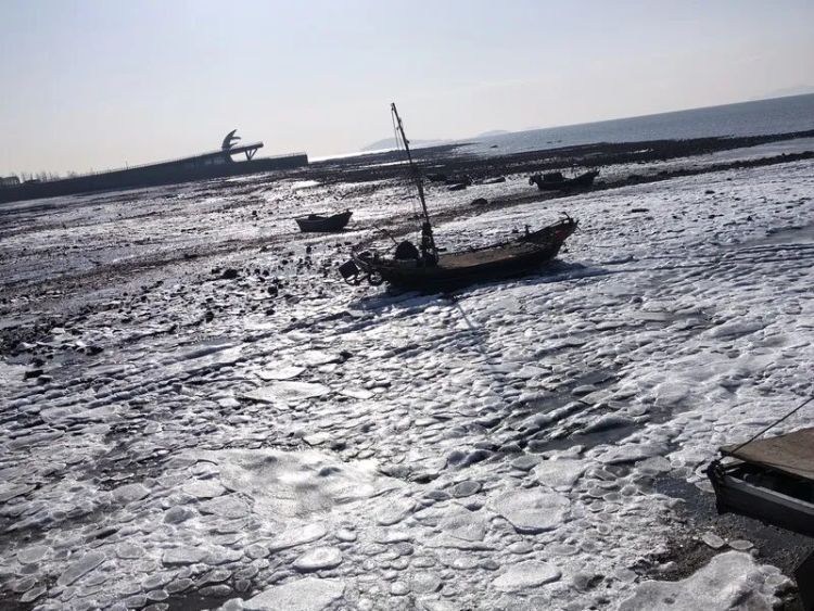 大海结冰、冻到开裂！青岛海边冻出壮观一幕，绵延数公里！未来几天……