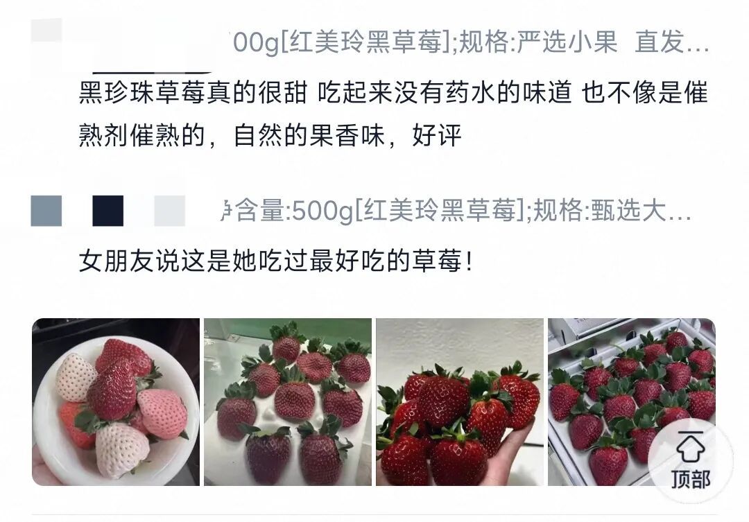 什么草莓一斤要300多元？