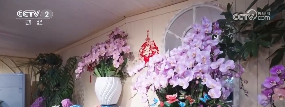 颜值寓意在线！年宵花市开启“抢购模式” 小众品种成“当家花旦”购销两旺