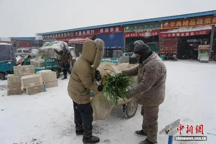 河南这场雪下得有多大？权威数据来了：积雪最深达18厘米