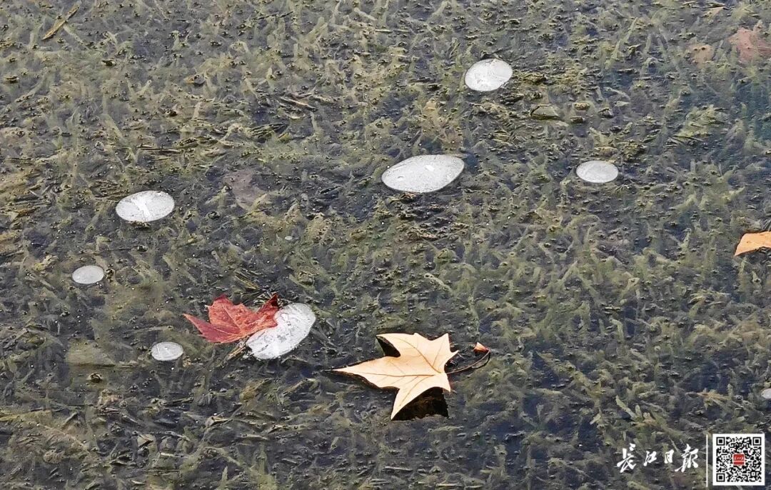 -6℃！武汉多处已出现，紧急提醒：千万别去