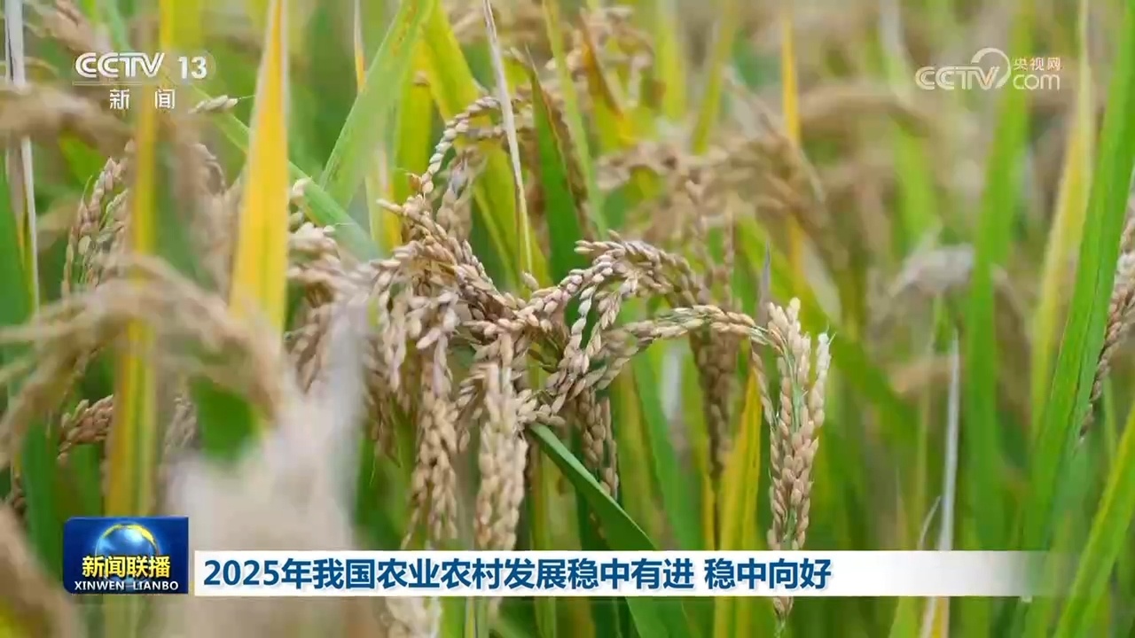 2025年我国农业农村发展稳中有进 稳中向好 2025年我国农业农村发展稳中有进 稳中向好