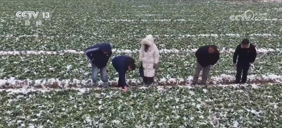 多部门打出精准服务“组合拳”应对低温 全力保障群众生产生活平稳有序