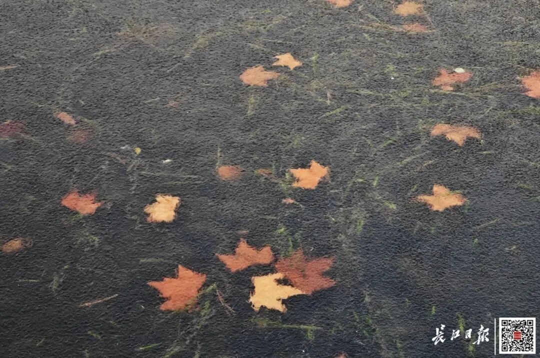 -6℃！武汉多处已出现，紧急提醒：千万别去