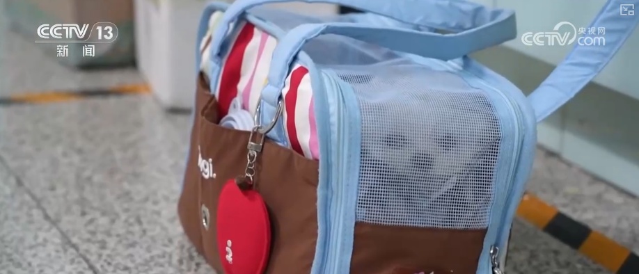 透过“雪”“宠”“静”看铁路服务延伸升级 激活经济发展与民生服务双“引擎”