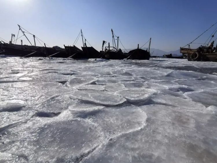 大海结冰、冻到开裂！青岛海边冻出壮观一幕，绵延数公里！未来几天……
