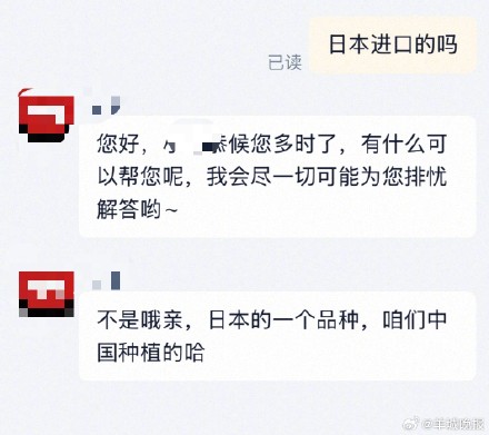 300元一斤的日本黑草莓实为国产