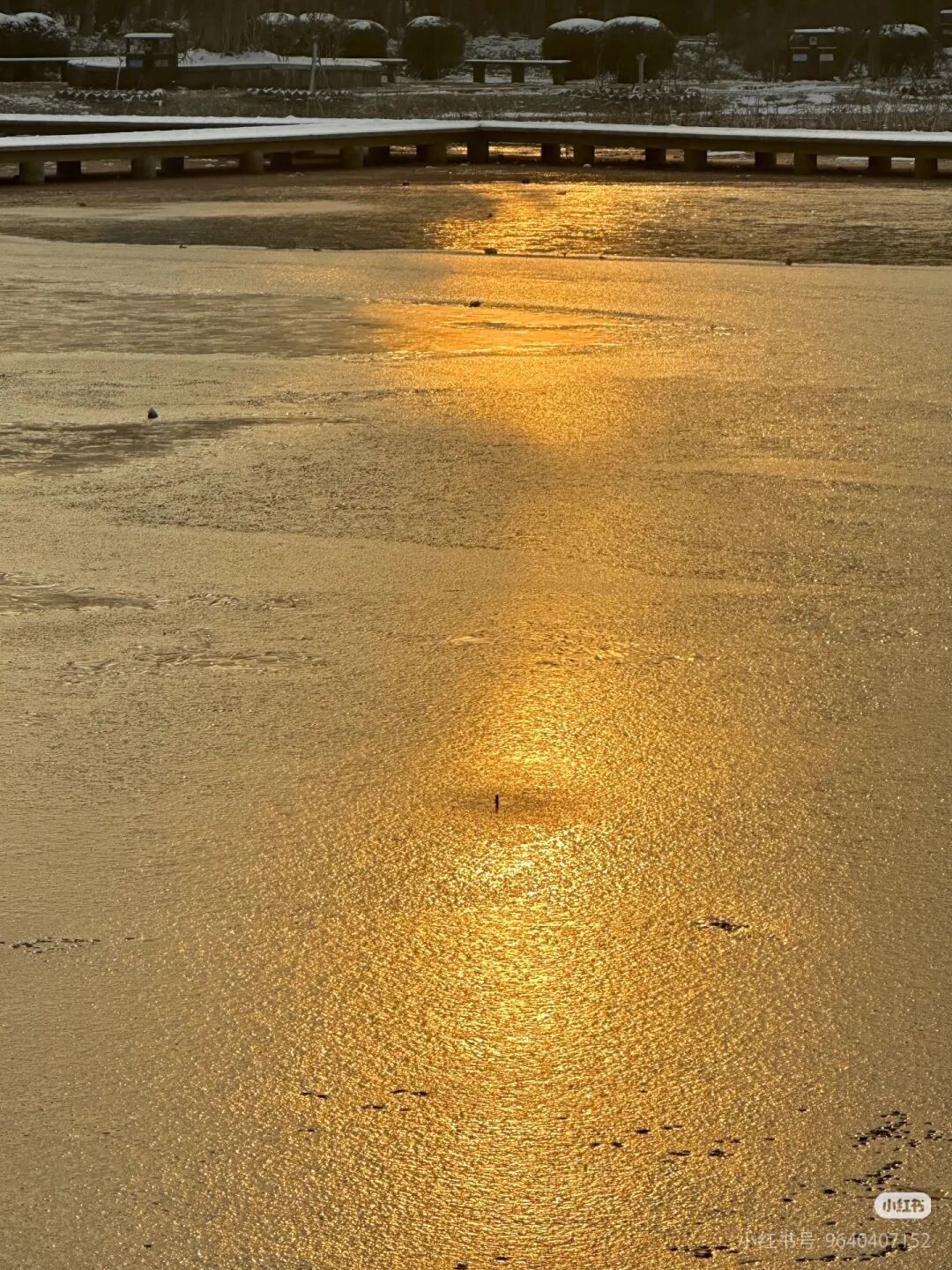 -6℃！武汉多处已出现，紧急提醒：千万别去