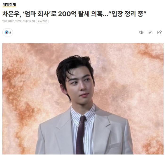 韩媒:韩国明星车银优涉嫌逃税200亿韩元 韩媒:韩国明星车银优涉嫌逃税200亿韩元