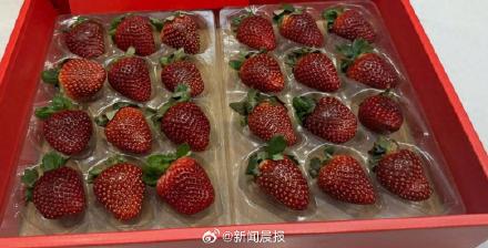 专家解读300元一斤黑草莓值不值：品质优良，营养价值正常