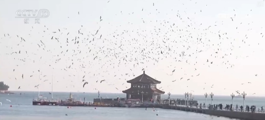 外溢产值3390.95亿元！“电影+”消费热浪溢出影院 释放文化经济增长新空间