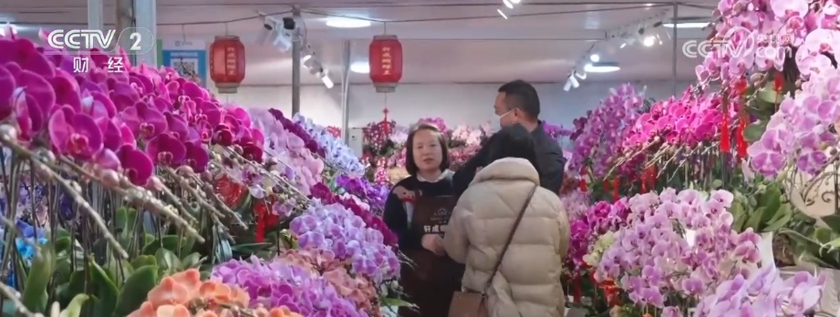 颜值寓意在线！年宵花市开启“抢购模式” 小众品种成“当家花旦”购销两旺