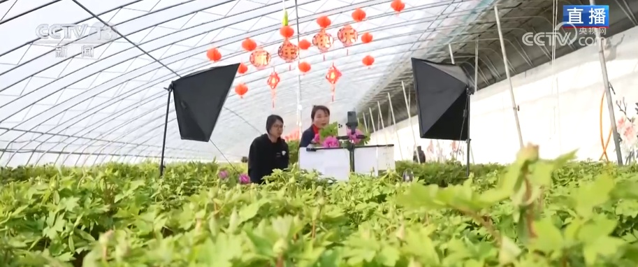 美丽经济为消费“增”色“添”活力 “好颜值”转化“好价值”助农增收 美丽经济为消费“增”色“添”活力 “好颜值”转化“好价值”助农增收