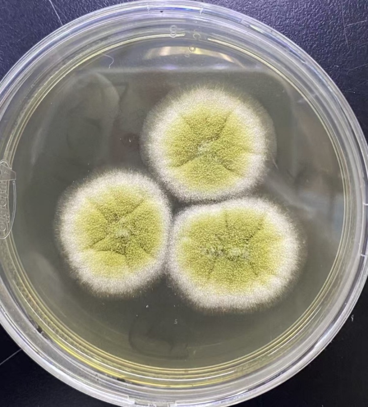 这种致癌物藏在家里，很多人天天接触却浑然不知！