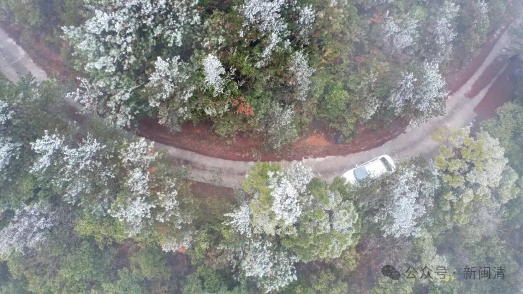 霜冻、结冰、雨夹雪!福建明天最低-4℃,何时能回暖? 霜冻、结冰、雨夹雪!福建明天最低-4℃,何时能回暖?