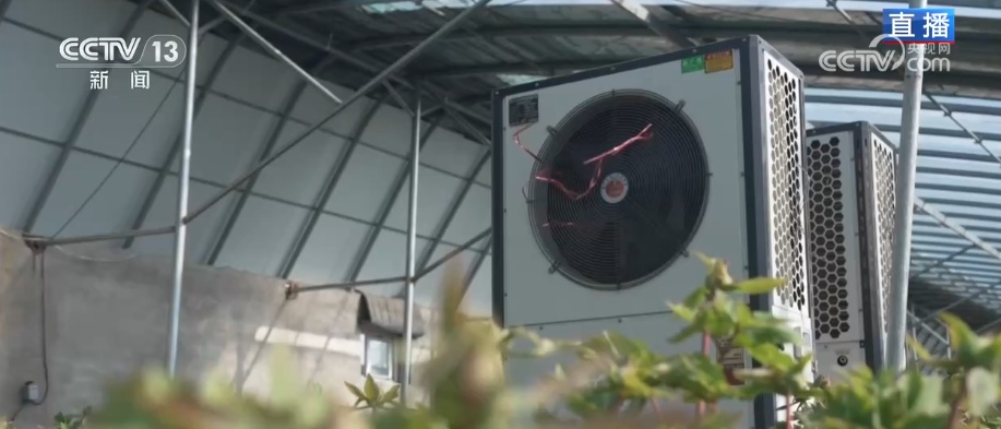 美丽经济为消费“增”色“添”活力 “好颜值”转化“好价值”助农增收 美丽经济为消费“增”色“添”活力 “好颜值”转化“好价值”助农增收