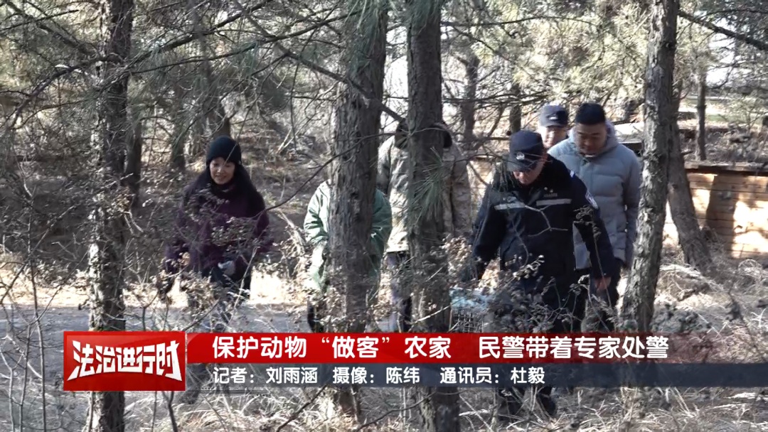豹猫跑到了鸽农家，北京警察：我看看怎么个事儿？