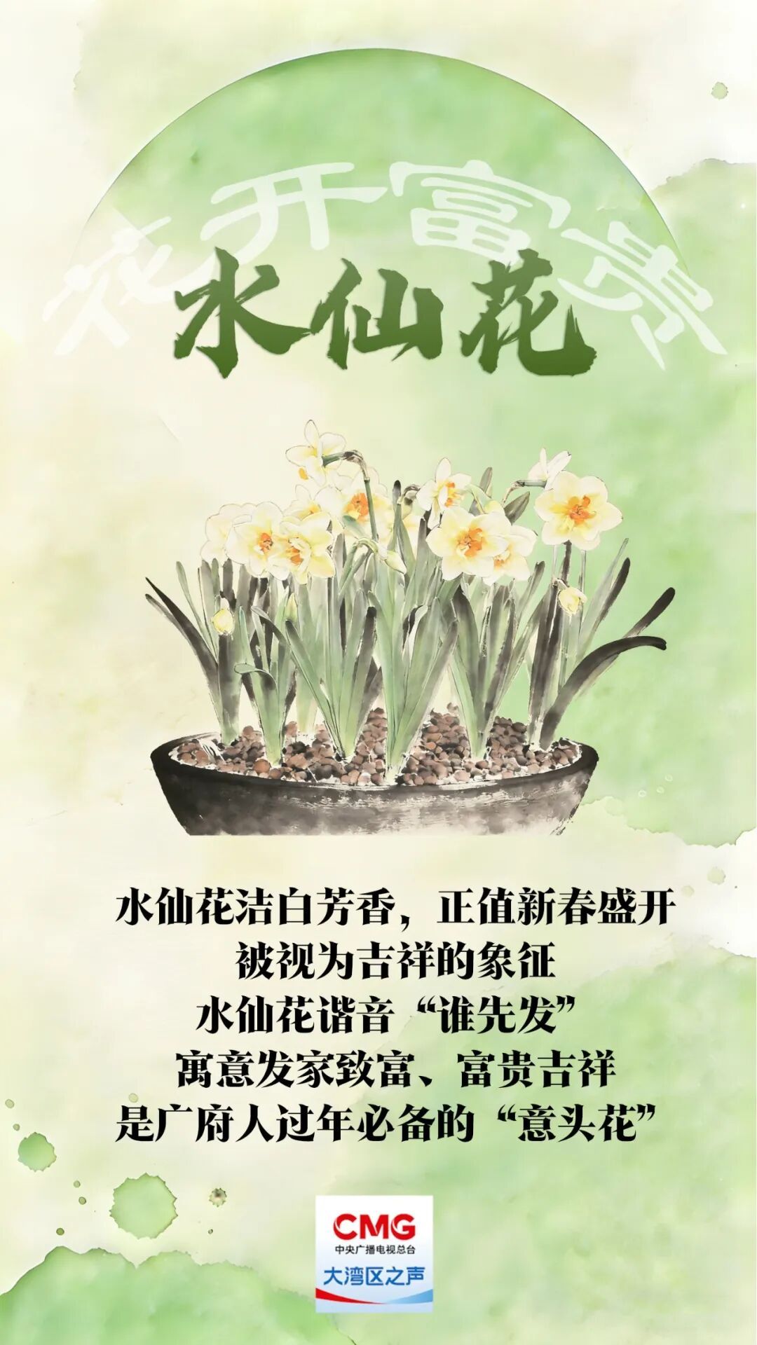 “乱花渐欲迷人眼”？老广的年味都藏在这里