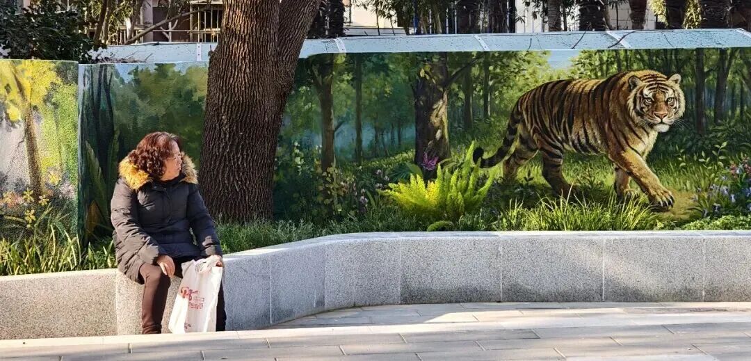 上海这条老街“长满小动物”!路人全在对着树和墙拍照打卡,裸眼3D效果逼真 上海这条老街“长满小动物”!路人全在对着树和墙拍照打卡,裸眼3D效果逼真