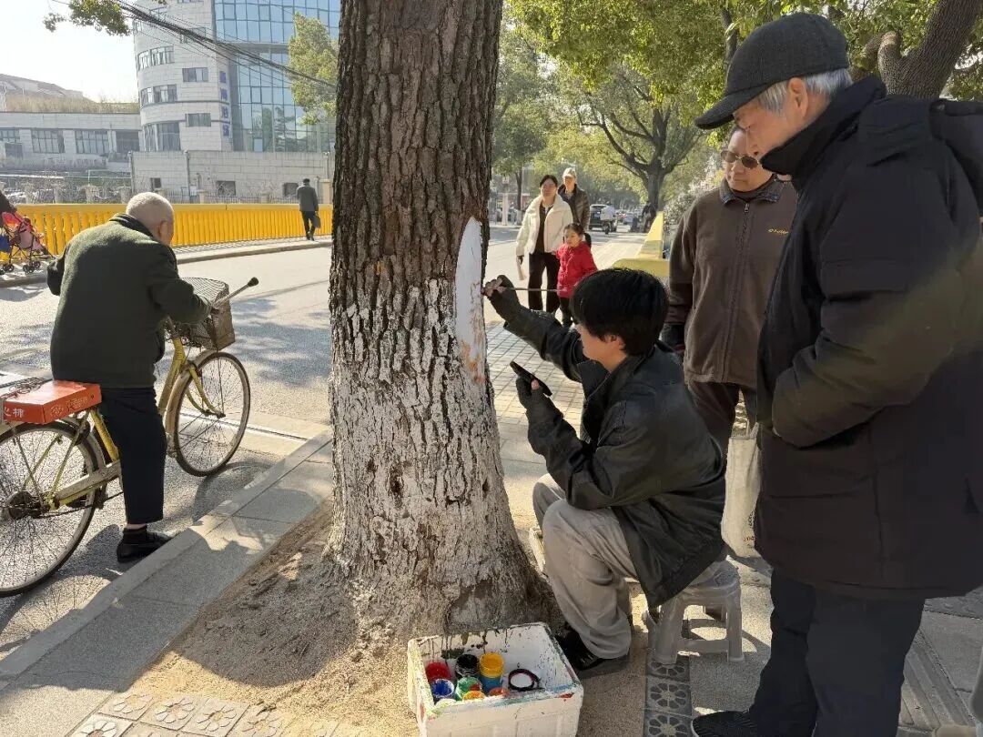 上海这条老街“长满小动物”!路人全在对着树和墙拍照打卡,裸眼3D效果逼真 上海这条老街“长满小动物”!路人全在对着树和墙拍照打卡,裸眼3D效果逼真