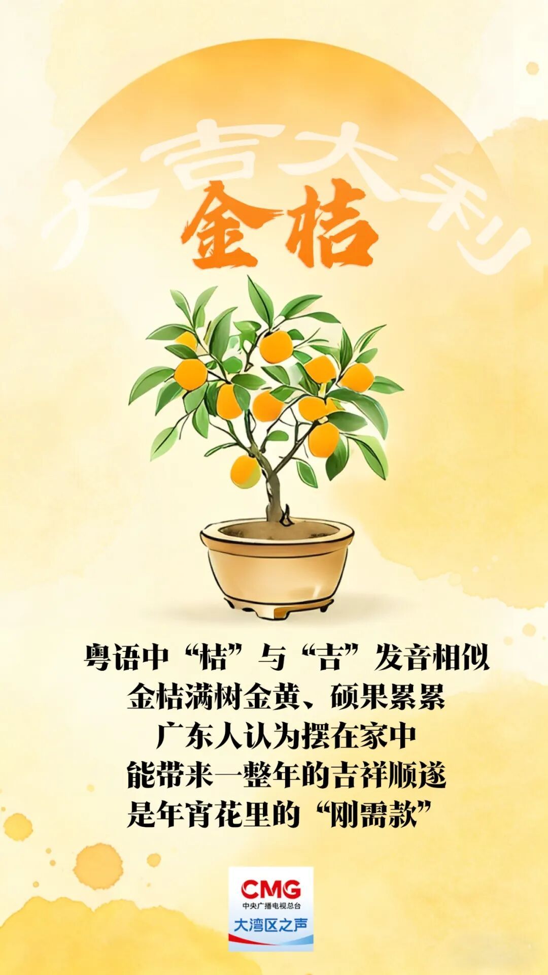 “乱花渐欲迷人眼”？老广的年味都藏在这里