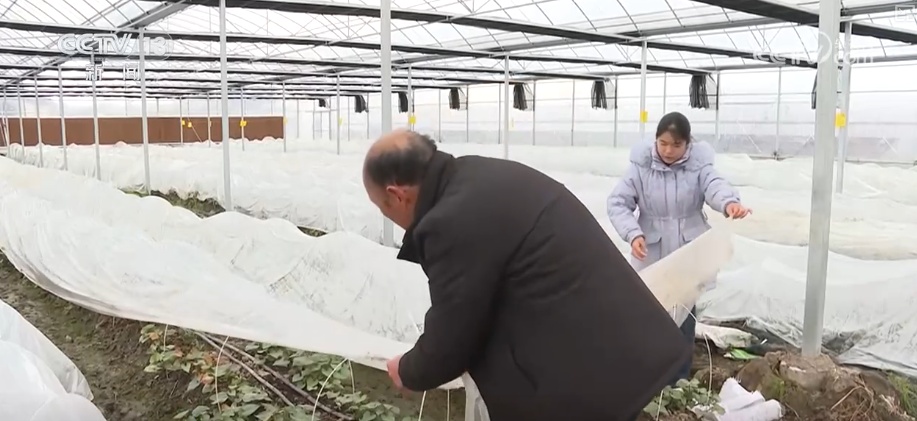 除冰保畅、踏冰送水、指导生产 多部门精准施策办好民生实事保障百姓生产生活