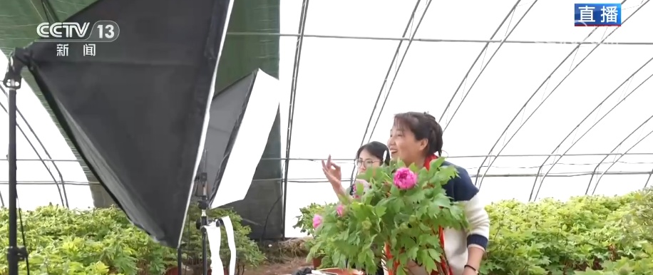 美丽经济为消费“增”色“添”活力 “好颜值”转化“好价值”助农增收 美丽经济为消费“增”色“添”活力 “好颜值”转化“好价值”助农增收