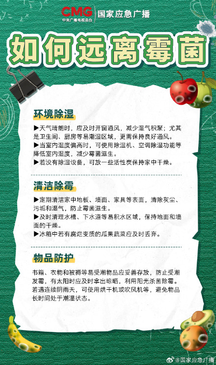 春节大扫除 防霉指南快收藏 春节大扫除 防霉指南快收藏