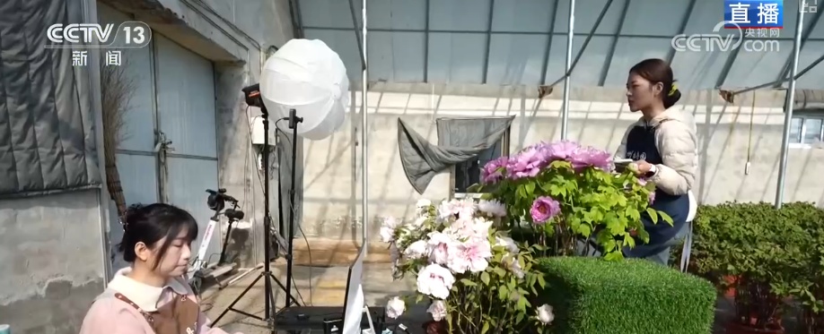 美丽经济为消费“增”色“添”活力 “好颜值”转化“好价值”助农增收 美丽经济为消费“增”色“添”活力 “好颜值”转化“好价值”助农增收