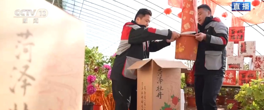 美丽经济为消费“增”色“添”活力 “好颜值”转化“好价值”助农增收 美丽经济为消费“增”色“添”活力 “好颜值”转化“好价值”助农增收