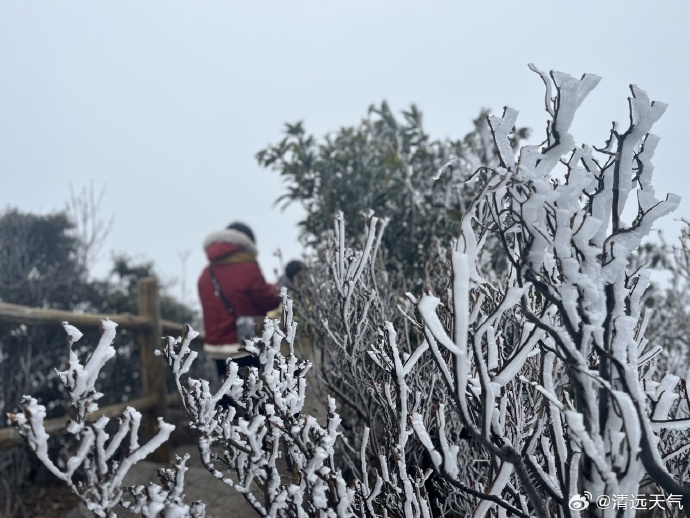 广州10年没下雪了！广州天气：要下雨了