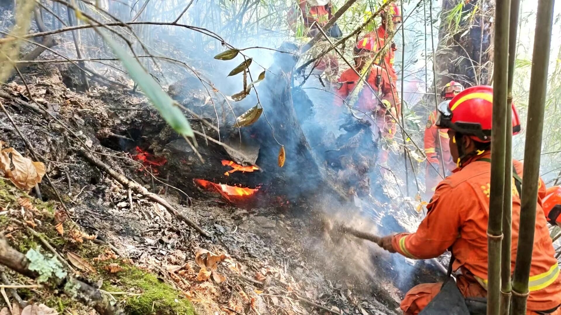 云南怒江荒火蔓延引发森林火灾 6天后明火全部扑灭